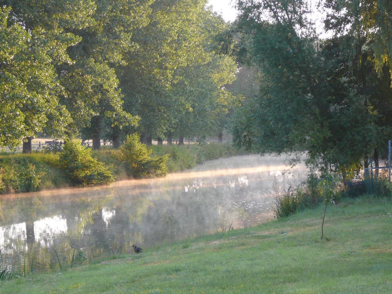 Au Crapaud Charmant Merbes-le-Chateau Екстер'єр фото